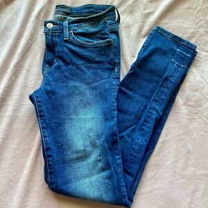 Flying Monkey Skinny 25